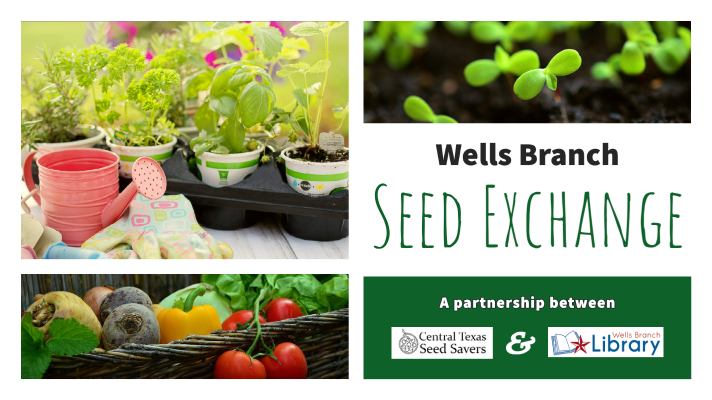 Wells Branch Seed Exchange. A partnership between Central Texas Seed Savers and Wells Branch Community Library