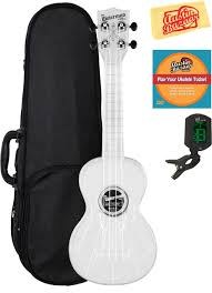 Waterman Ukulele kit with case, instrument, tuner, and DVD