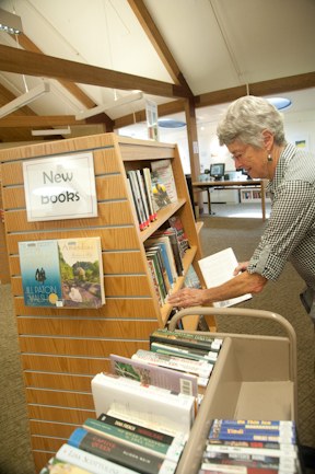 Library volunteer putting books onto shelves.