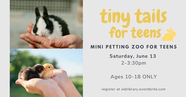 left-side photos of hands holding a black and white bunny and a pair of baby chicks. yellow lettering reads "tiny tails for teens". Black text reads "Mini petting zoo for teens. Saturday, June 13, 2-3:30pm, Ages 10-18 only, register at wblibrary.eventbrite.com"